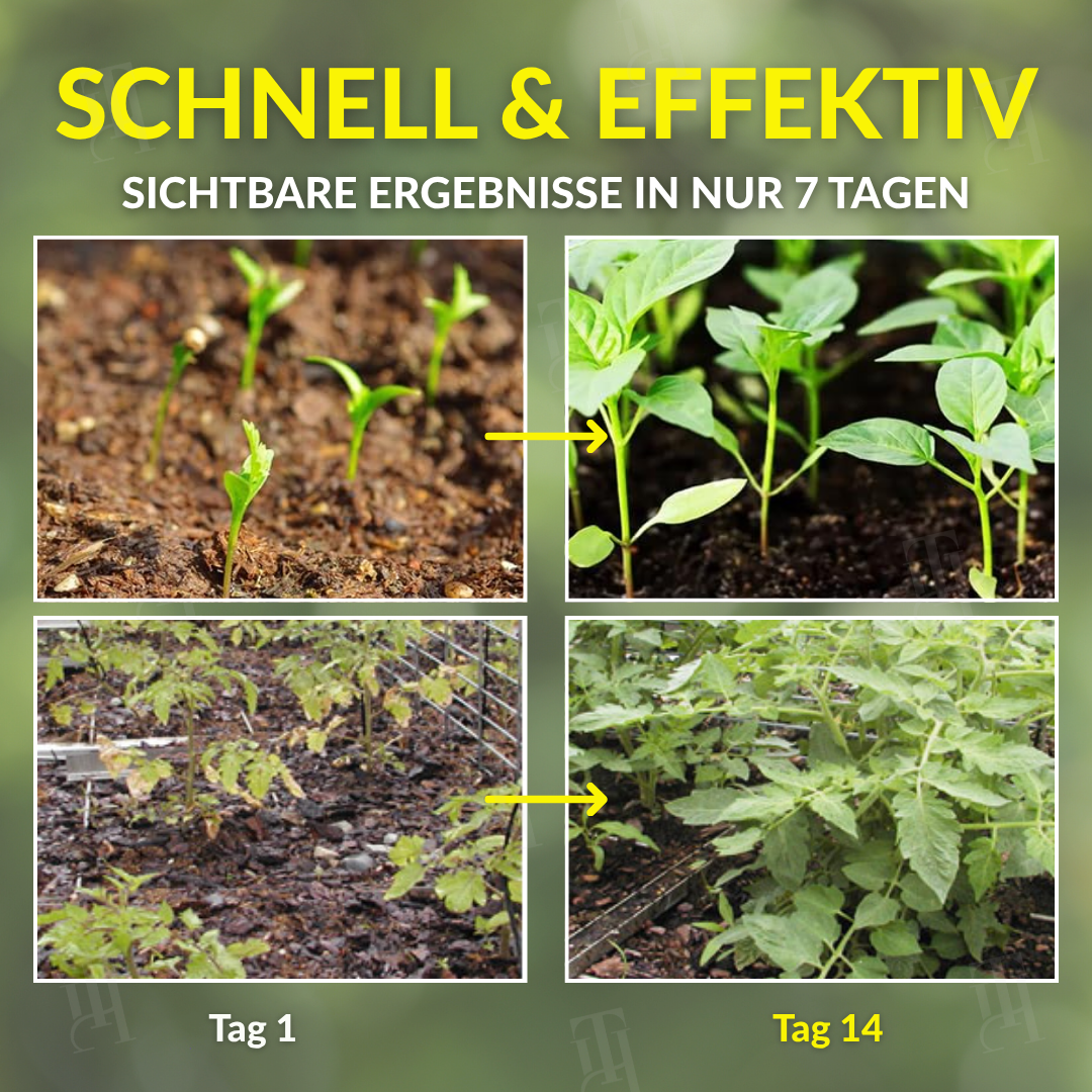 AEXZR® 2 in 1 Vita-Enzym Lösung🌱 The soil revolution you can see in hours.