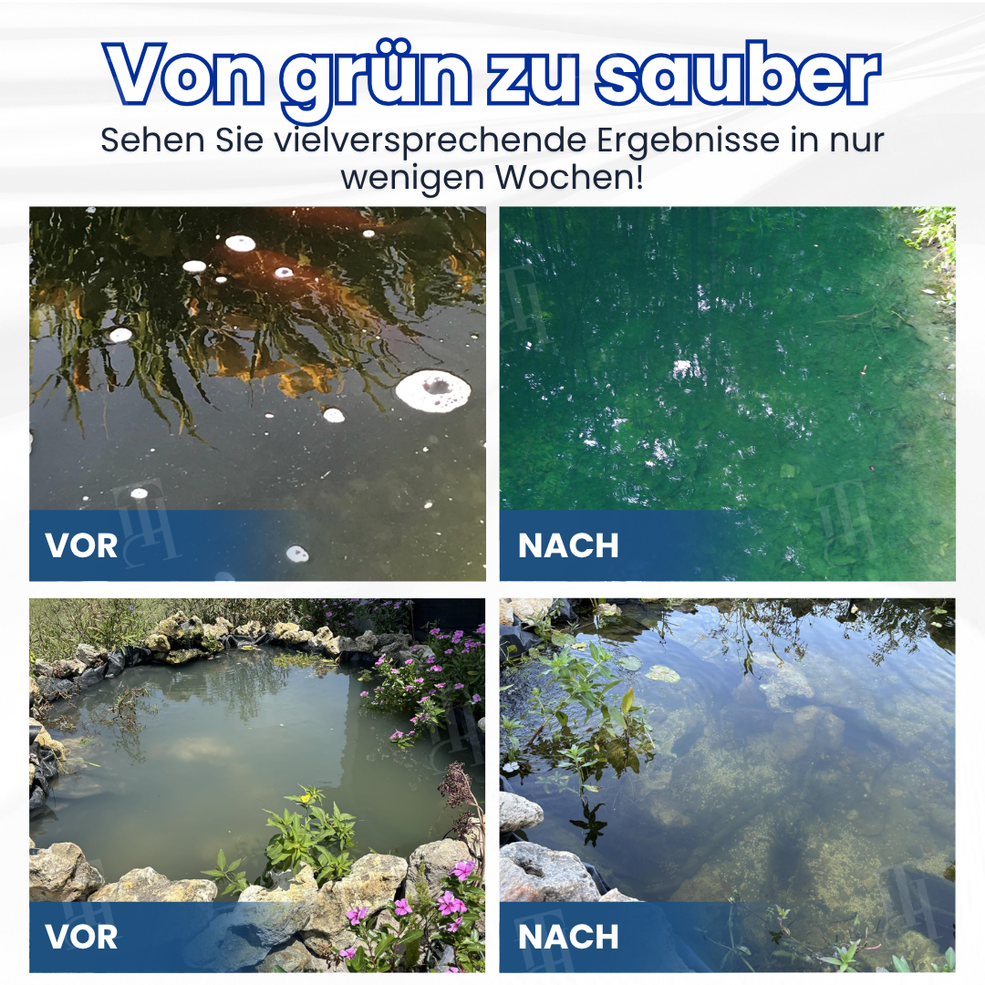 AEXZR® Aqua-Guardian Pro Formel 🐟 ✨Über Nacht von Grün zu Klar!|⏱️Kristallklar in 24 Stunden!
