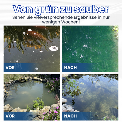 AEXZR® Aqua-Guardian Pro Formel 🐟 ✨Über Nacht von Grün zu Klar!|⏱️Kristallklar in 24 Stunden!