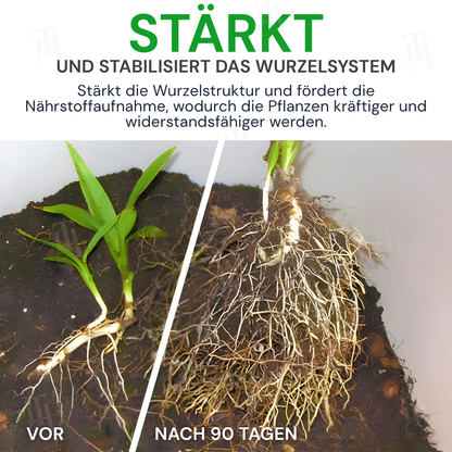 AEXZR® Max-Power Fulvosäuren Düngersticks