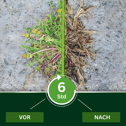 AEXZR® 2 in 1 Max Power Herbizid⚡ Das Zweifach-Wirkstoff-Kraftpaket: Beseitigt Unkraut in 6 Stunden, besiegt Glyphosat-Resistenz endgültig.
